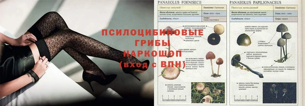 прущие крисы Балабаново