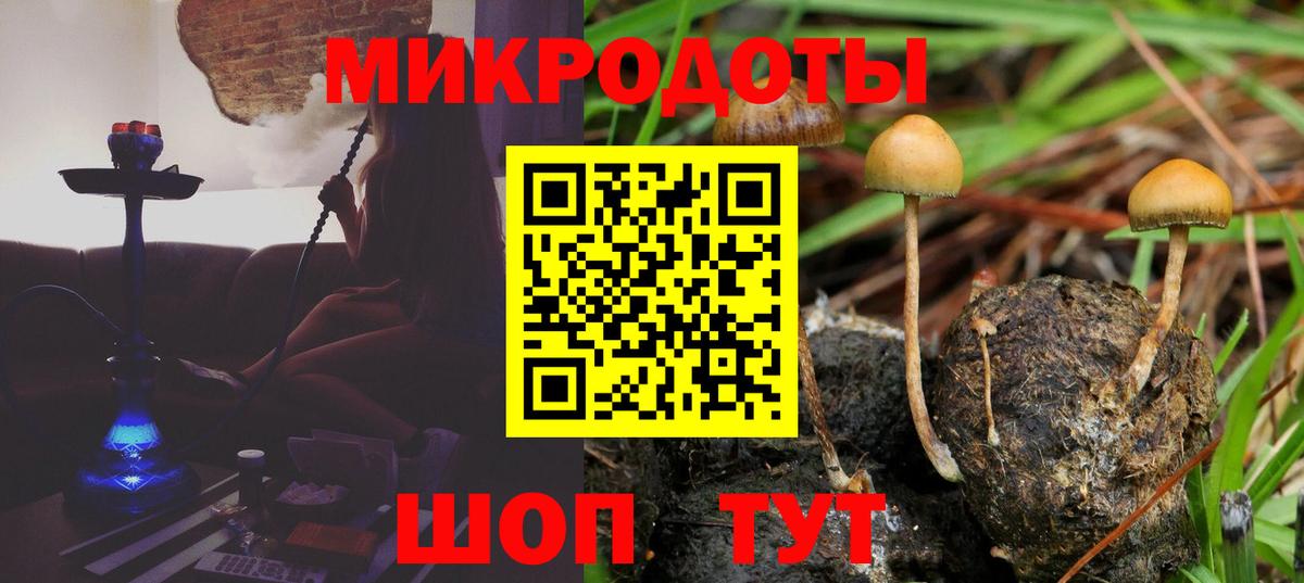 Псилоцибиновые грибы Psilocybine cubensis Острогожск
